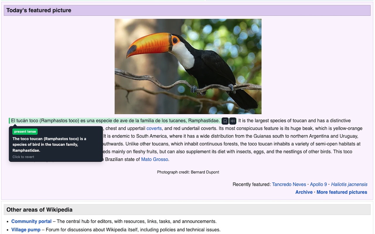 Color-coded inline translations